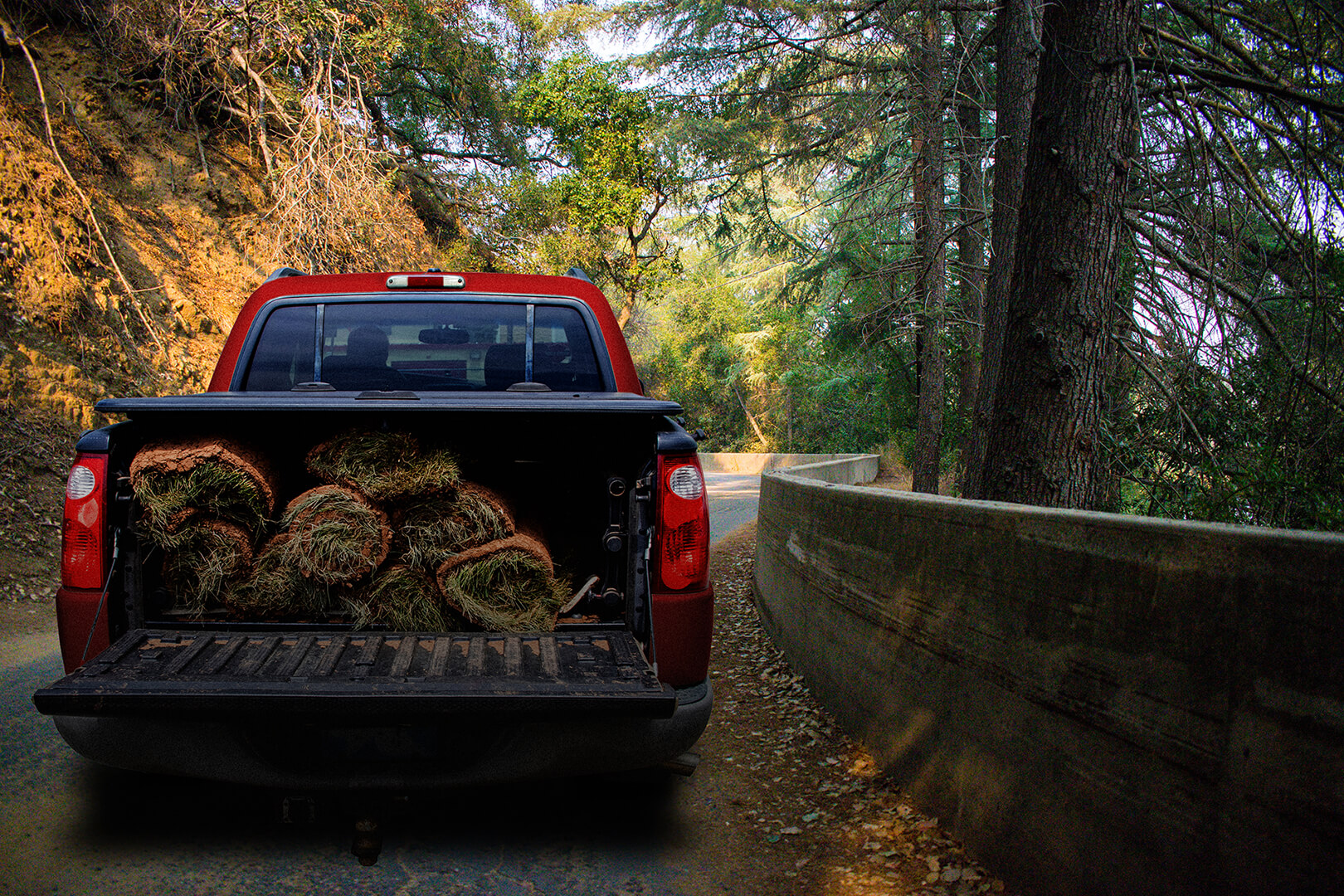 A Treacherous Canyon Road in Hollywood